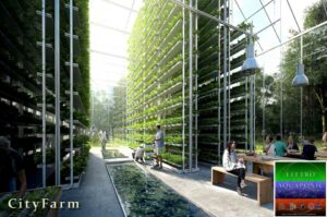 AquaPonik CityFarm