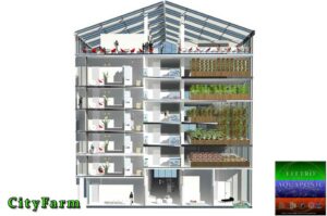 CityFarm im Wohnhaus