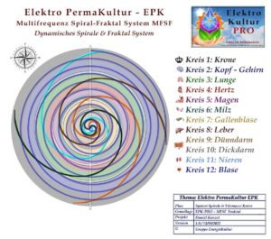EPK-MFSF-Spirale-Fraktal System
