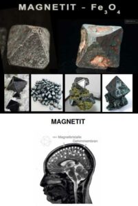 Magnetit in der EnergieKultur PDF