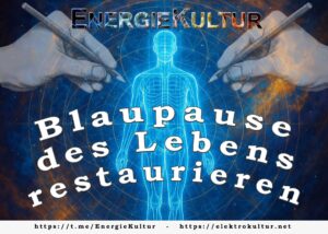 Die Blaupause des Lebens