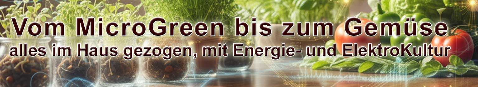 Microgreen und Gemüse zuhause anpflanzen