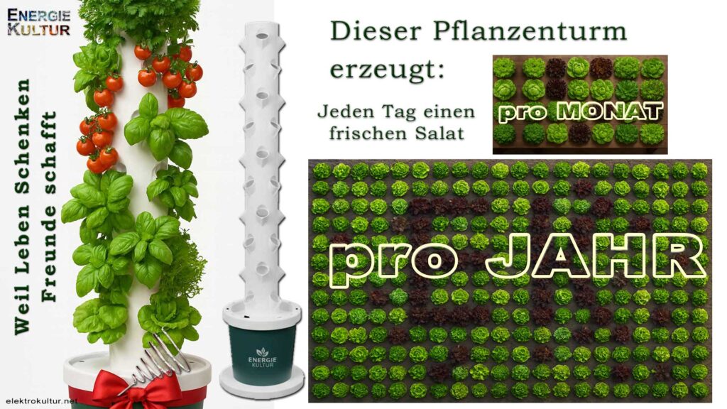 Pflanzenturm produktivitaet 