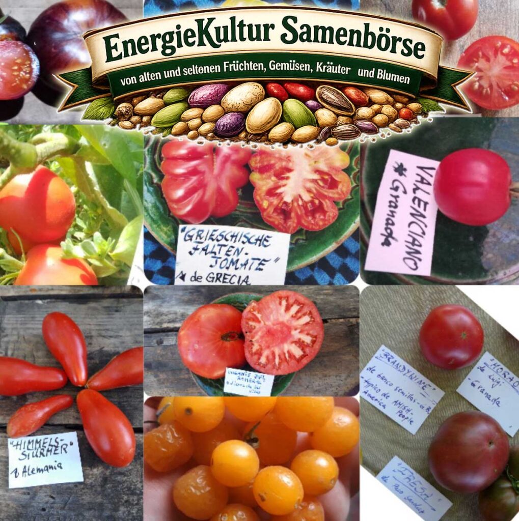 Seltene Samen alte Sorten