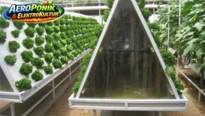 AeroPonik Model 3Eck