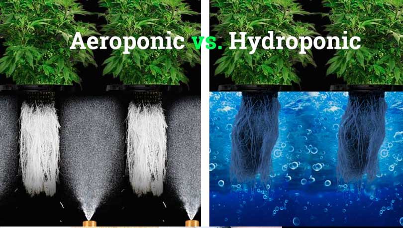 HydroPonik vs AeroPonik
