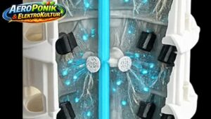 AeroPonik System