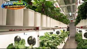 AeroPonik ElektroKultur