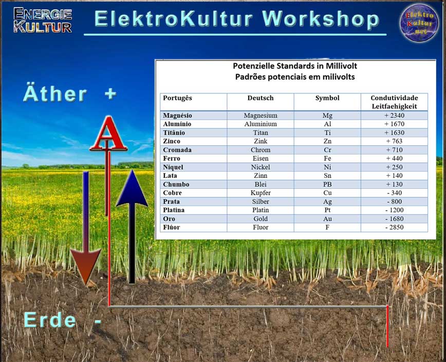 Energiefluss Elektronegativitaet